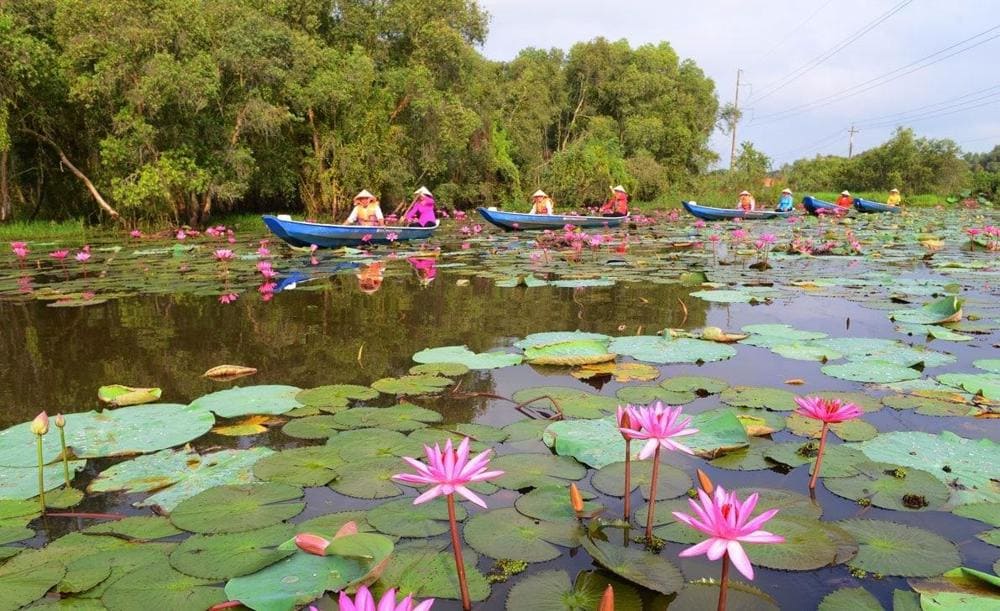 Du lịch làng nổi Tân Lập